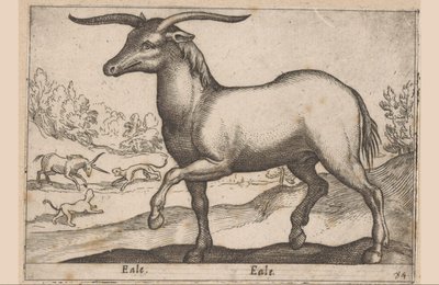 Cheval avec des cornes - Antonio Tempesta