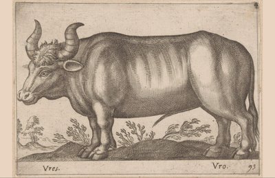 Boeuf (Animaux et créatures fabuleuses) - Antonio Tempesta