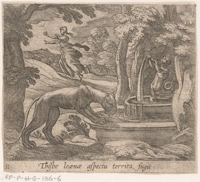 Thisbé fuit devant la lionne à la fontaine (Thisbe leaenae aspectu territa fugit) (Metamorphoseon sive transformationum) (Metamorfosen van Ovidius) - Antonio Tempesta