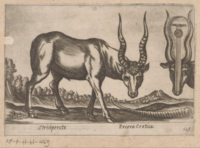 Deux antilopes (série Dieren en fabelwezens, Nova raccolta de li animali piu curiosi del mondo) - Antonio Tempesta