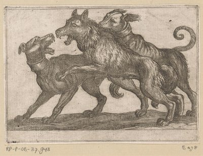 Deux chiens en combat avec un loup - Antonio Tempesta