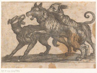 Deux chiens en combat avec un loup (série d