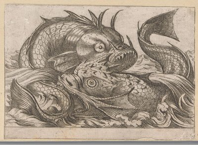 Deux poissons combattants
Animaux combattants (titre de la série) - Antonio Tempesta