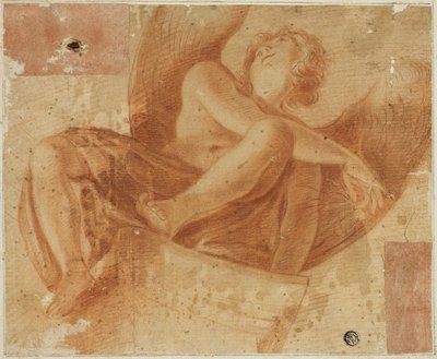 Ange raccourci - Antonio da Correggio