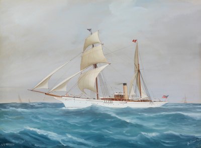 S. Y. Narada - Antonio de Simone