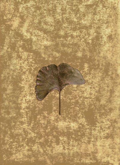 Ginkgo 3 - Antonius Antonius