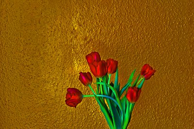 Tulips, 2014 (photo) - Antonius Antonius