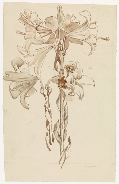 Feuille d