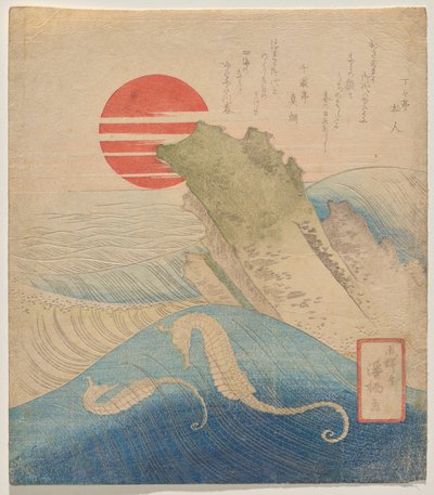 Hippocampes devant une nouvelle année montante - Aoigaoka Keisei