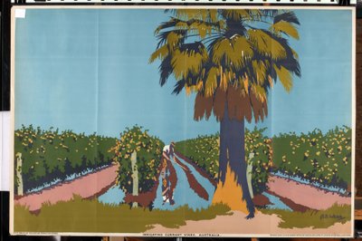 Irrigation des vignes de raisins secs - Australie - Archibald Bertram Webb