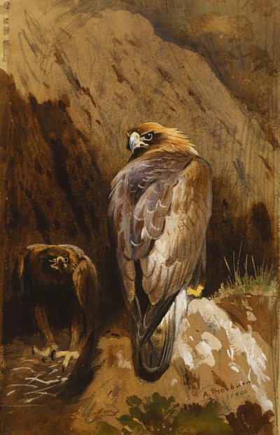 Aigles royaux à leur aire - Archibald Thorburn