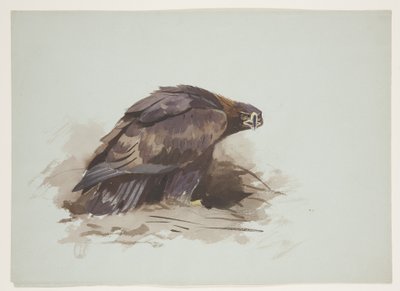 Aigle royal, c.1915 - Archibald Thorburn