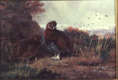 Grouse dans un Paysage Hivernal - Archibald Thorburn