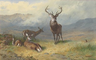Monarque des Highlands - Archibald Thorburn