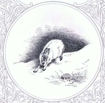 Lièvre des montagnes, pub. par Book Club Associates - Archibald Thorburn
