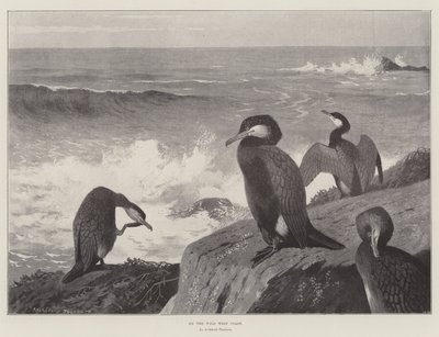 Sur la côte ouest sauvage - Archibald Thorburn