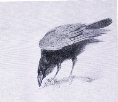 Corbeau, publié par Book Club Associates - Archibald Thorburn