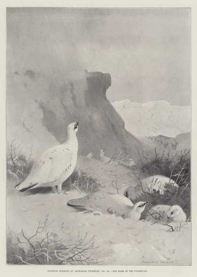 Sujets sportifs, la maison du lagopède - Archibald Thorburn