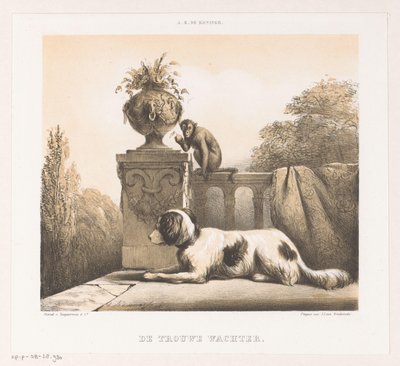 Chien et singe sur une terrasse - Arie Ketting de Koningh