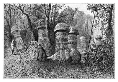 Ruines d