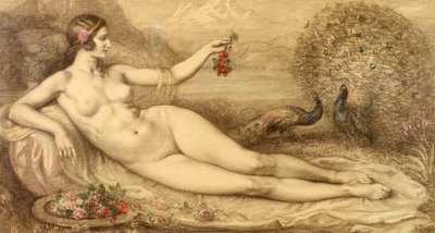 Junon - Armand Point