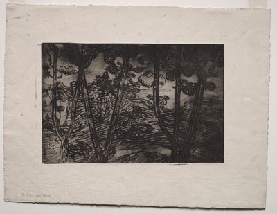 Arbres la nuit - Armand Séguin