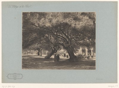 Chênes verts de Cimiez, Nice (Landschappen met dorpen en bos, Le village et les bois) - Armand Theophile Cassagne