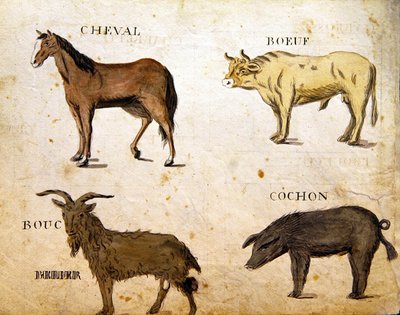 Illustrations de 