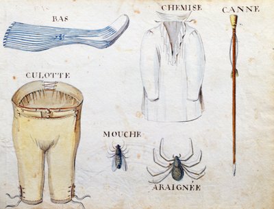 Illustrations de 