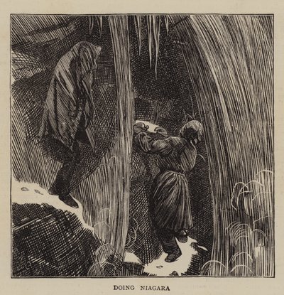 Faire Niagara - Arthur Boyd Houghton