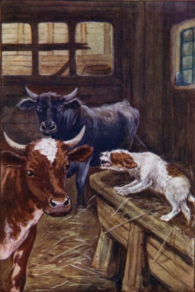 Fables d