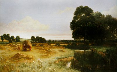 La terre verte et agréable d