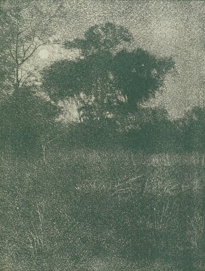 Clair de lune - Arthur E. Becher