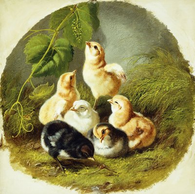 Poussins - Arthur Fitzwilliam Tait