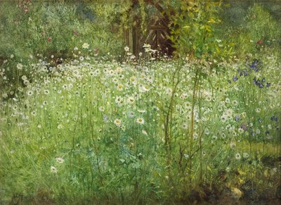 Marguerites et iris - Arthur Hacker