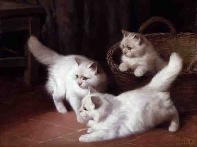 Trois chatons angora blancs - Arthur Heyer