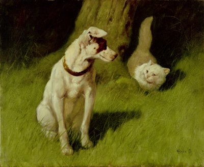 Chat persan blanc et Jack Russell - Arthur Heyer