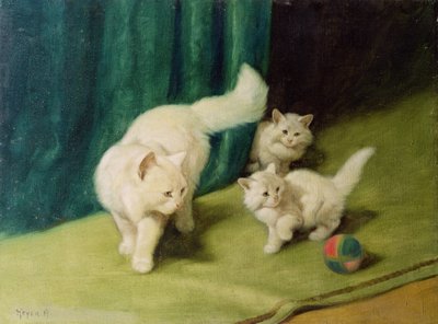 Chat persan blanc avec deux chatons - Arthur Heyer
