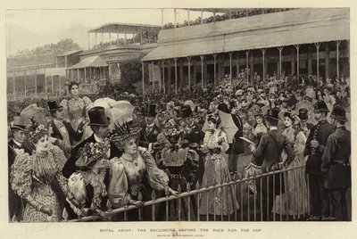 Ascot royal, l