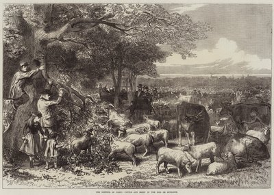 La Défense de Paris, Vaches et Moutons dans le Bois de Boulogne - Arthur Hopkins
