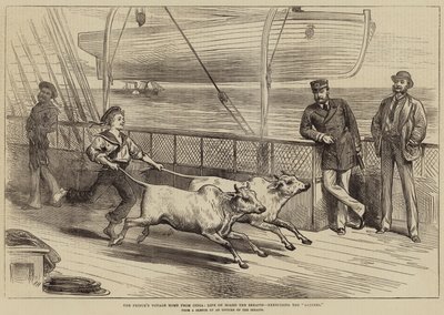 Le voyage de retour du prince d