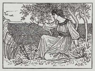Hans Christian Andersen : Les cygnes sauvages - Arthur Joseph Gaskin