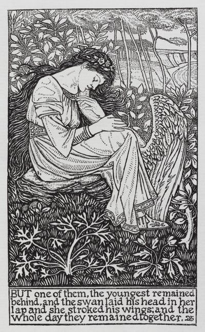 Hans Christian Andersen : Les cygnes sauvages - Arthur Joseph Gaskin