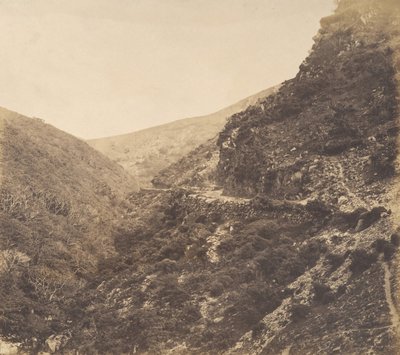 Sur la route de Watersmeet, près de Lynton, North Devon, 1856 - Arthur Julius Pollock