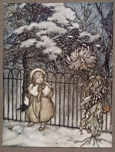 Un chrysanthème l