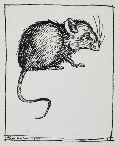 Une souris - Arthur Rackham