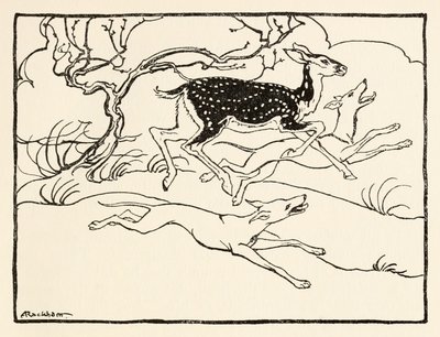 Becfola dans son char de La Cour de Becfola dans Contes de fées irlandais - Arthur Rackham