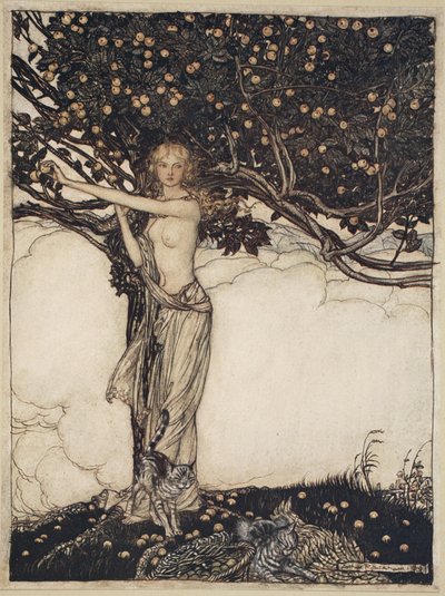 Freia, la belle, illustration de 