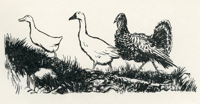 Henny-Penny - Arthur Rackham