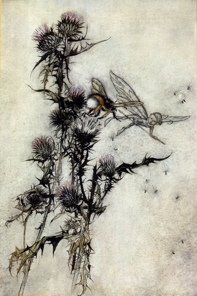 Illustration par Arthur Rackham pour Le Songe d